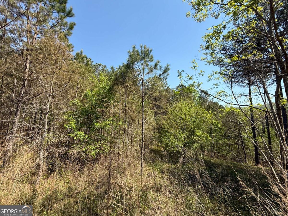 0 Eastview Trail Property Photo 3