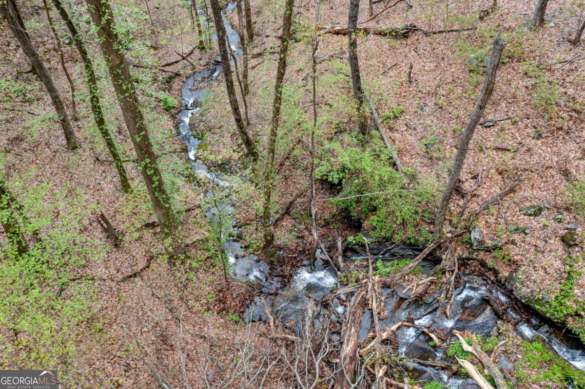 Lot 4527 Sassafras Mountain Trail Property Photo