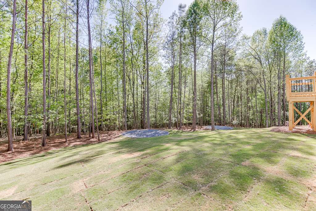 2779 Roller Mill Drive Property Photo 54