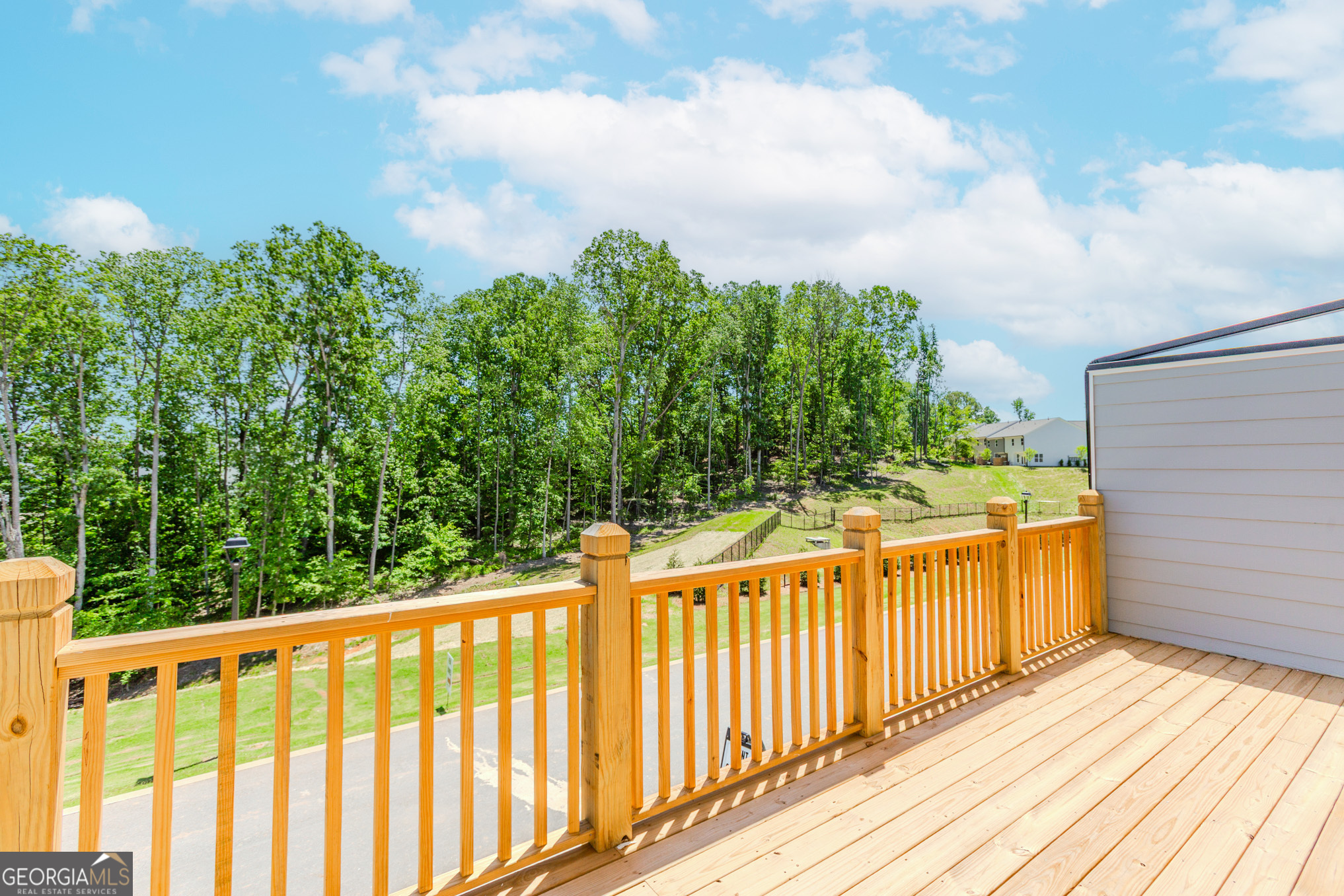 1262 Ainsworth Alley Lot 48 Property Photo 39