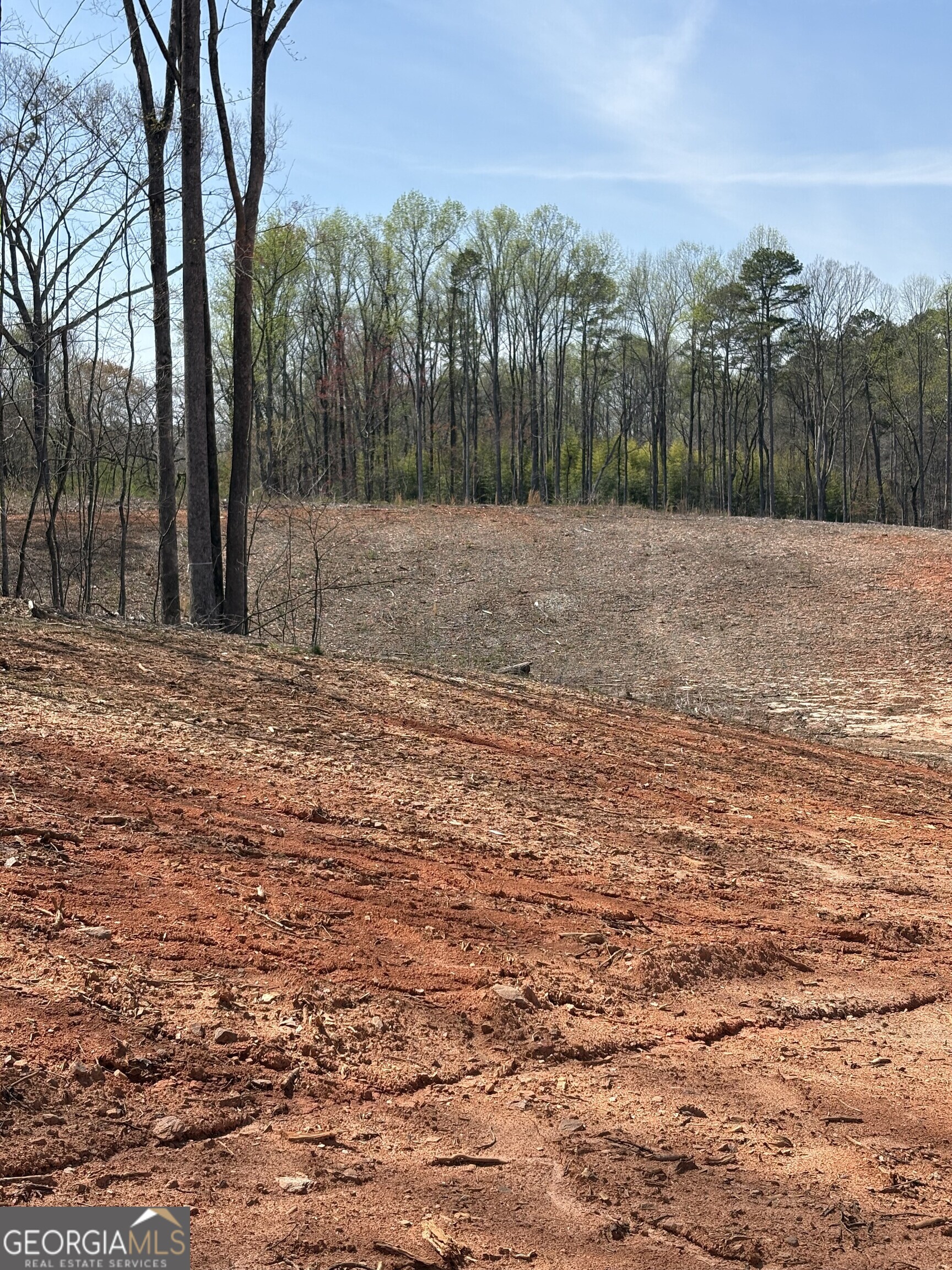 0 Dawsonville Highway Property Photo