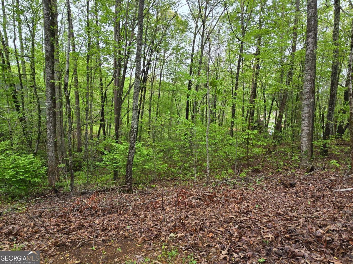 Lot 69 Chatuge Village Property Photo