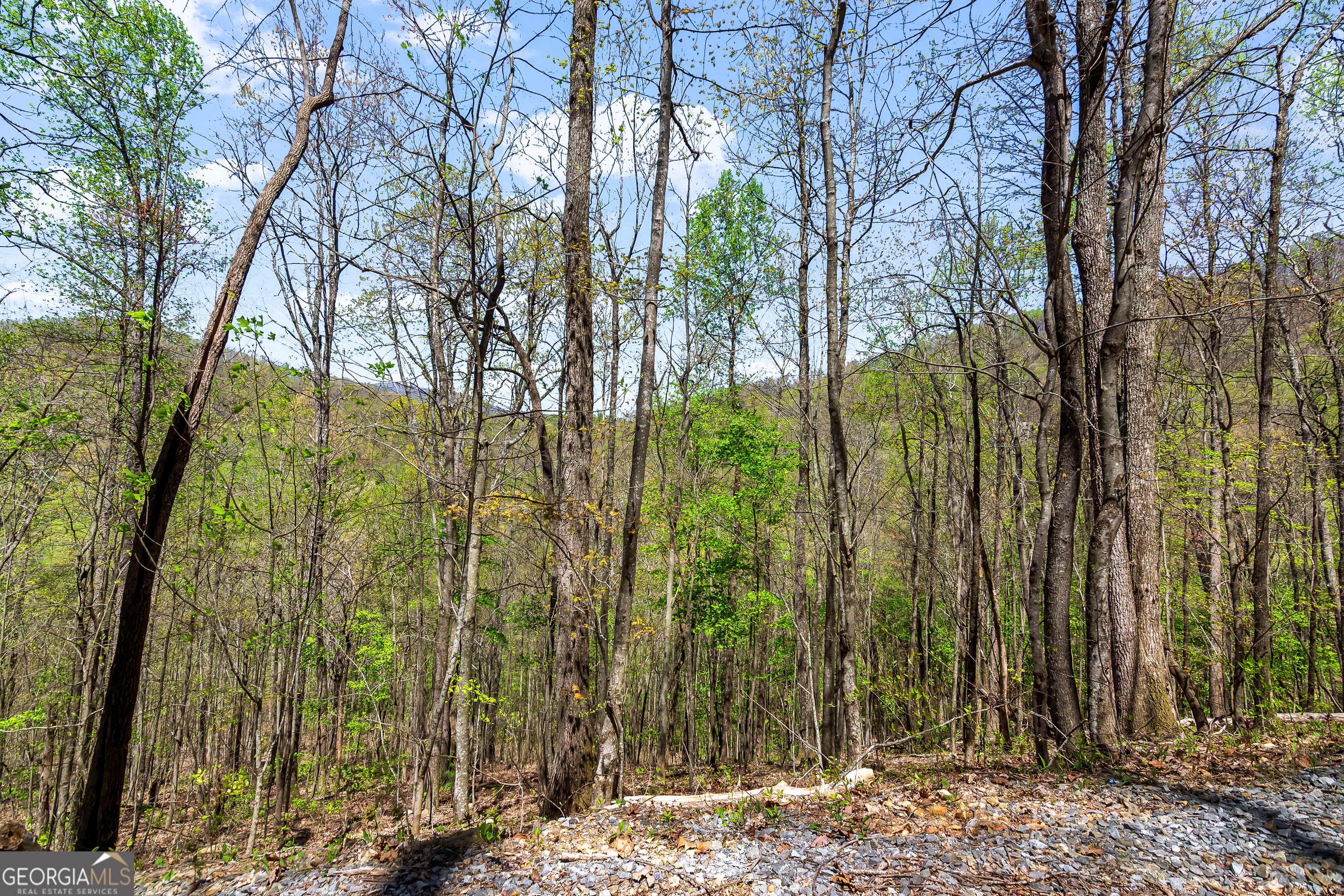 32.11 Ac Hidden Valley Drive Property Photo