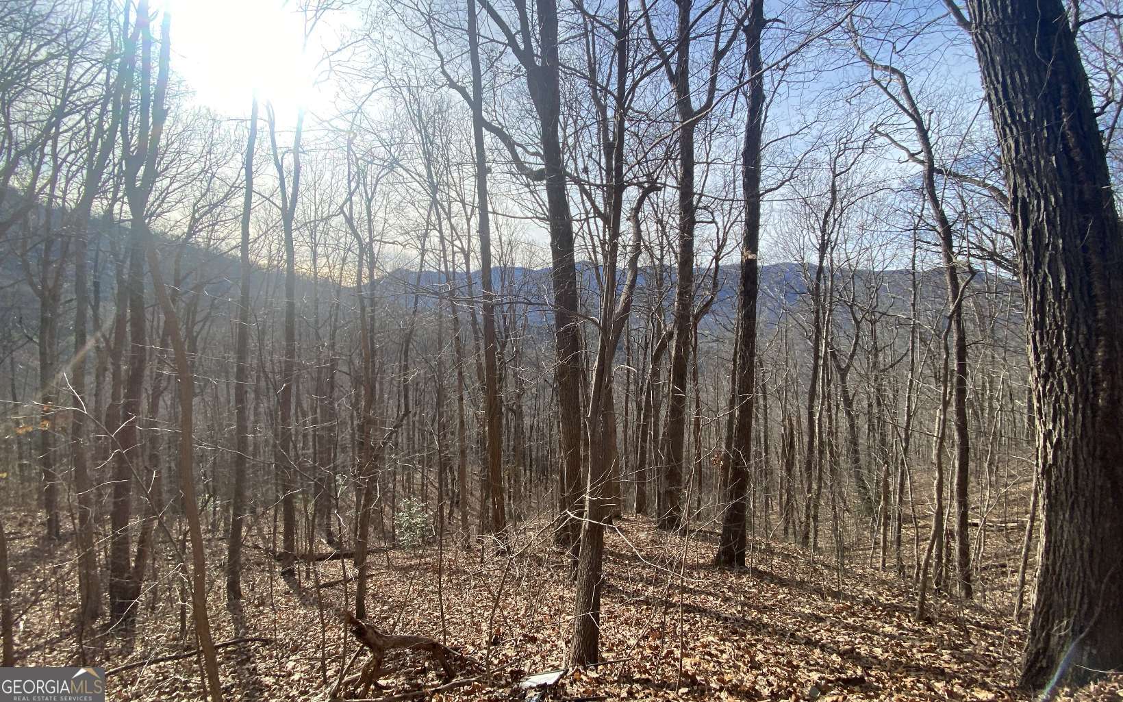Tract 1 Caeser Gap Road Property Photo 1