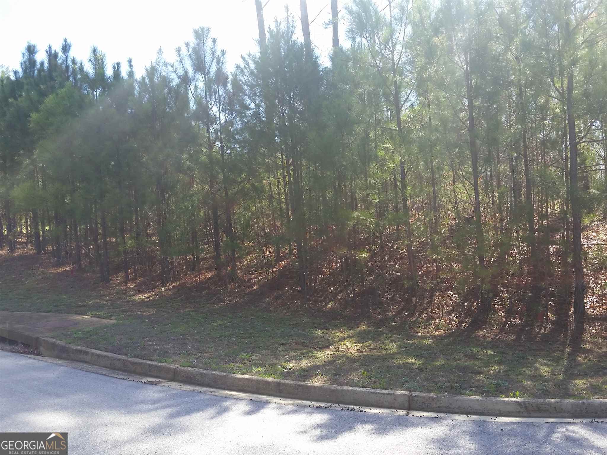 146 Shawnee Trail Lot 27 Property Photo 1