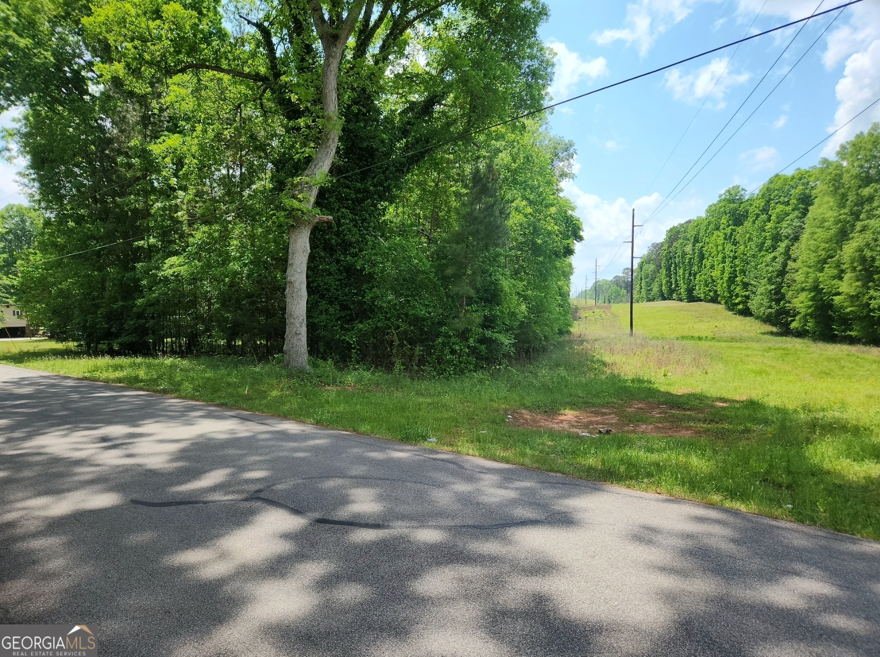 1241 Old Siloam Road Property Photo 1