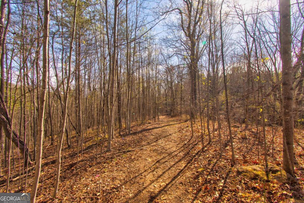 600 Chapman Ridge Lane Property Photo