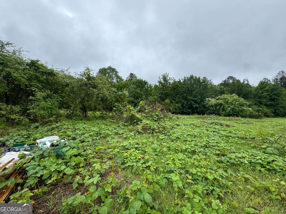 0 Mayes Bridge Road Sw Property Photo 8