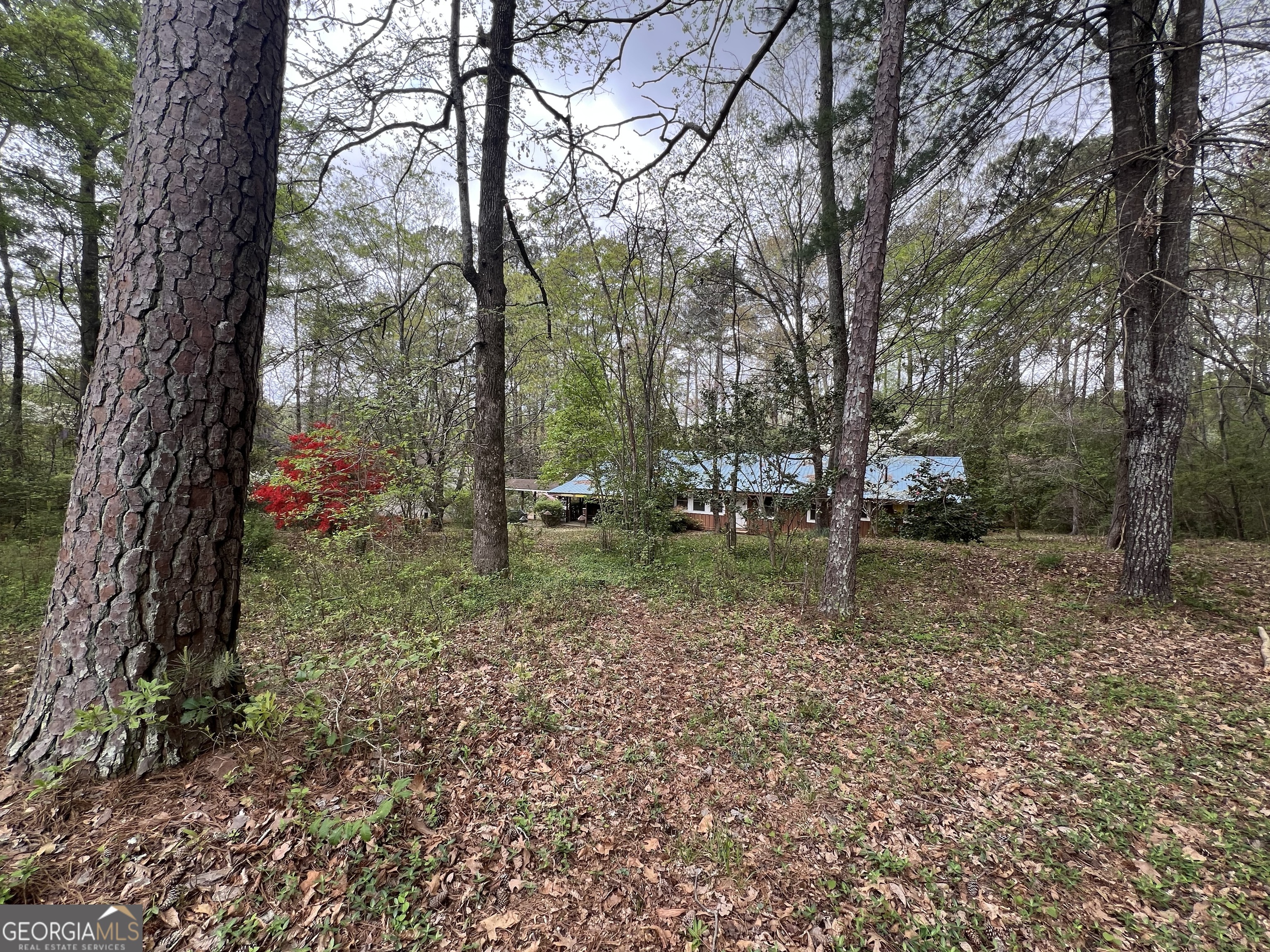 2932 Highway 20 Se Property Photo 1