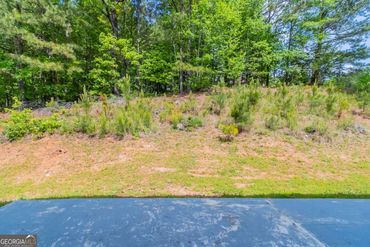 6757 Delaware Bend Property Photo 39