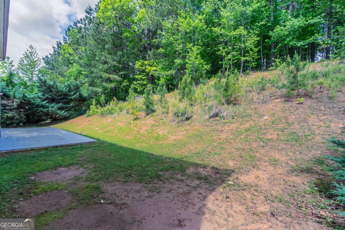 6757 Delaware Bend Property Photo 42