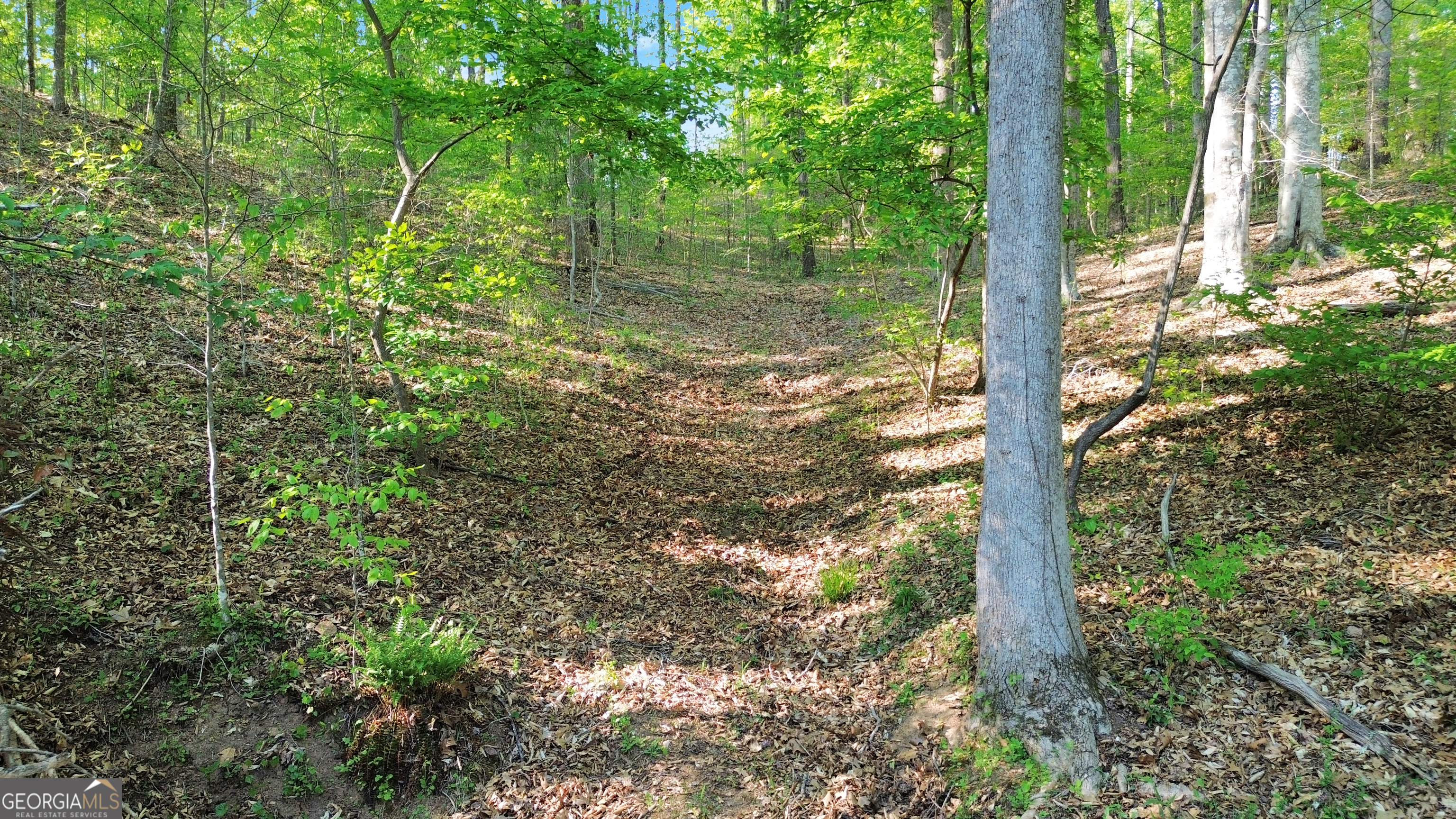 0 Flanagan Mill Road