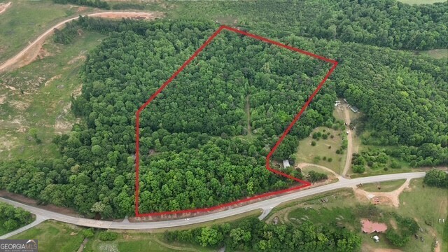 9509 Ga Highway 172 Property Photo 1