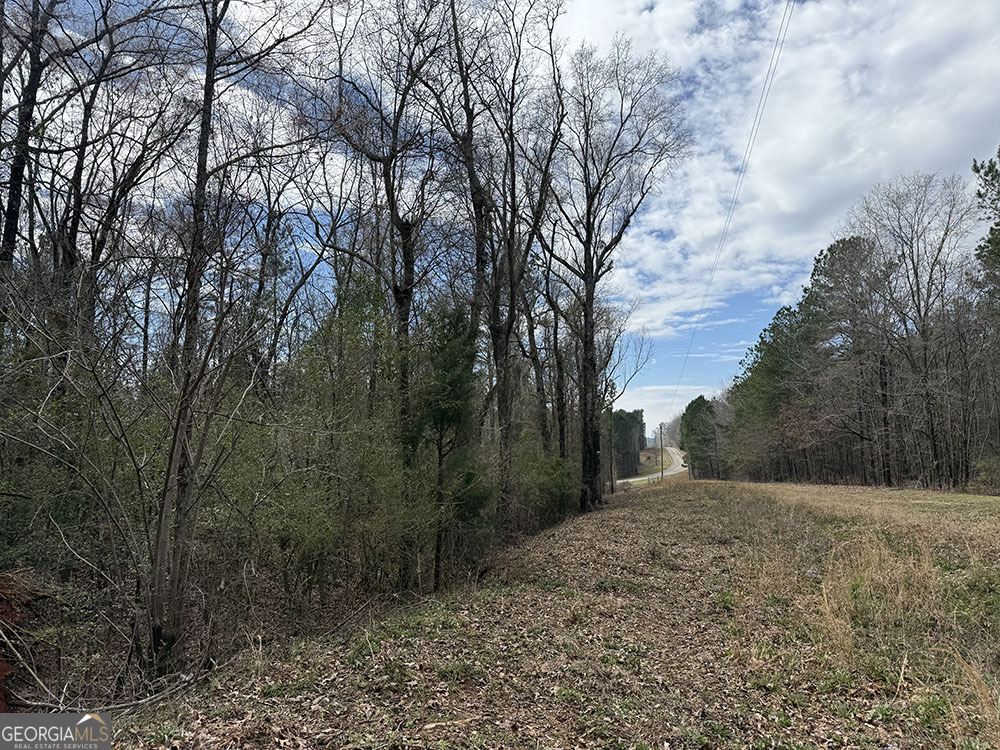 0 Ga Hwy 129 Property Photo 1