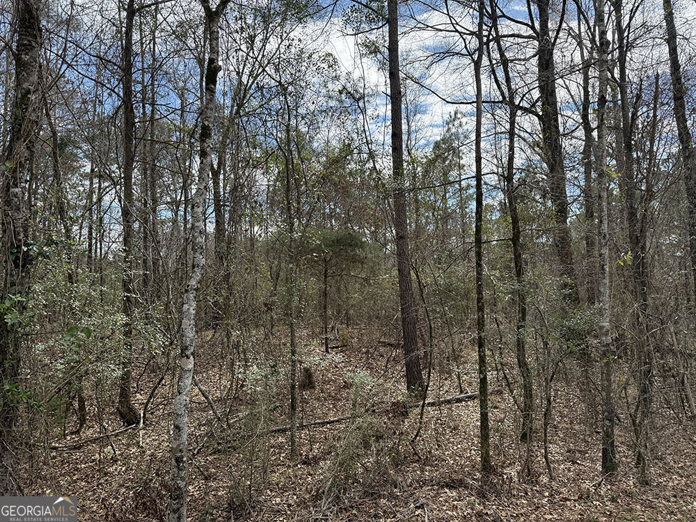 0 Ga Hwy 129 Property Photo 2