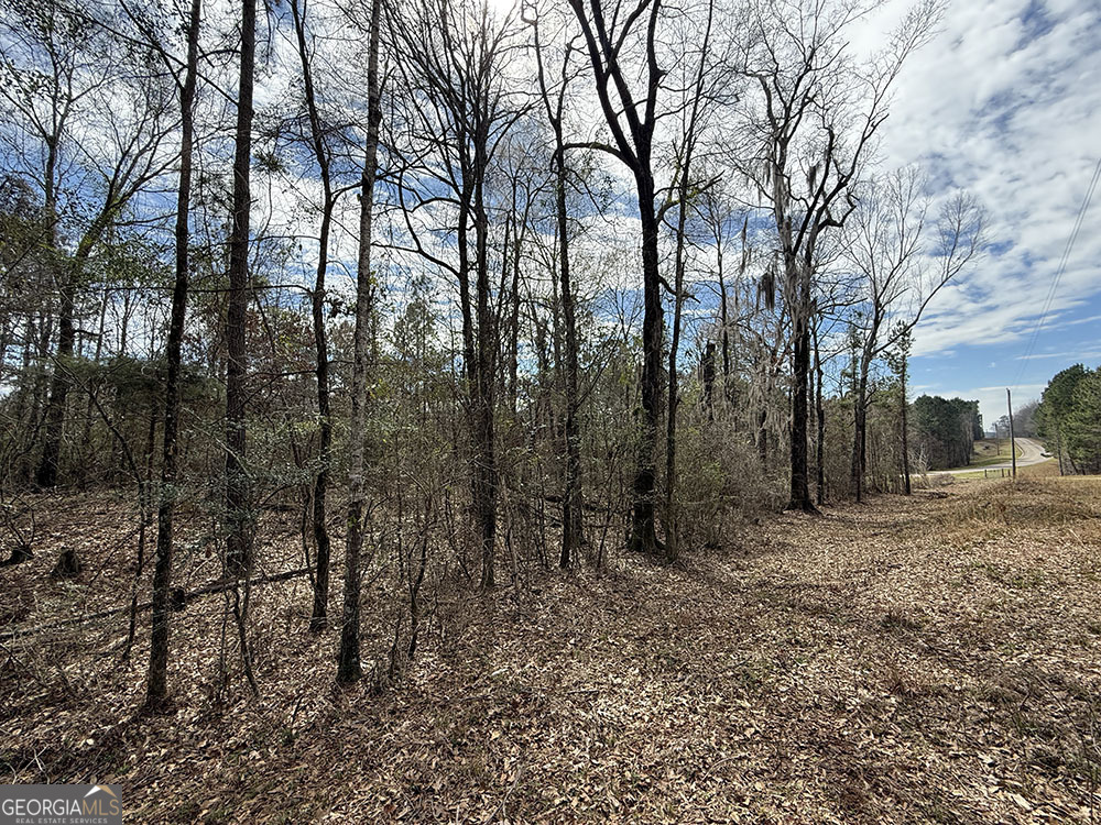 0 Ga Hwy 129 Property Photo 3