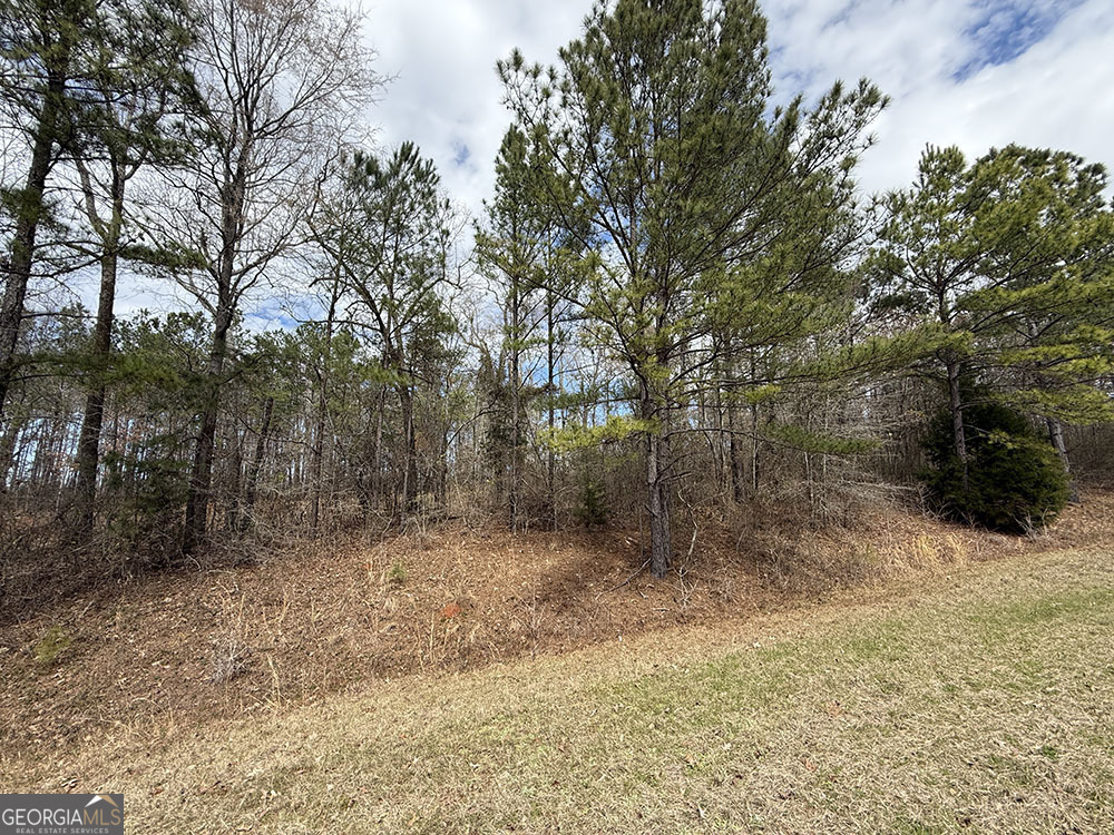 0 Ga Hwy 129 Property Photo 6