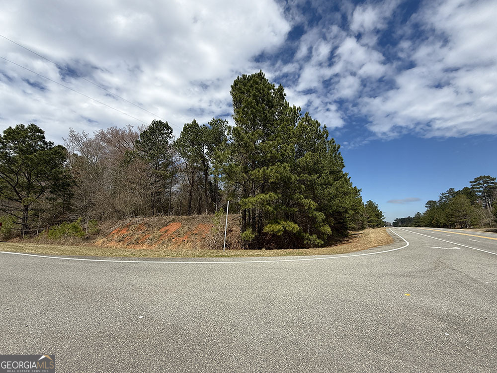 0 Ga Hwy 129 Property Photo 10