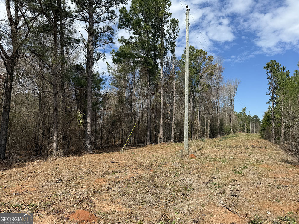 0 Ga Hwy 129 Property Photo 11
