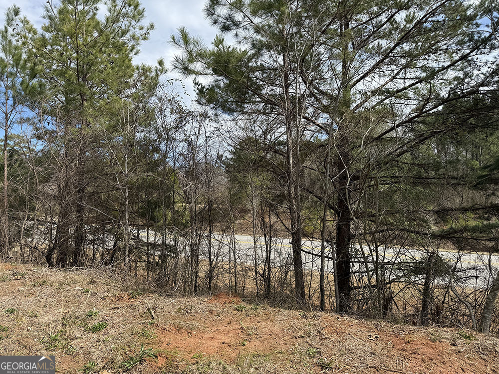 0 Ga Hwy 129 Property Photo 13