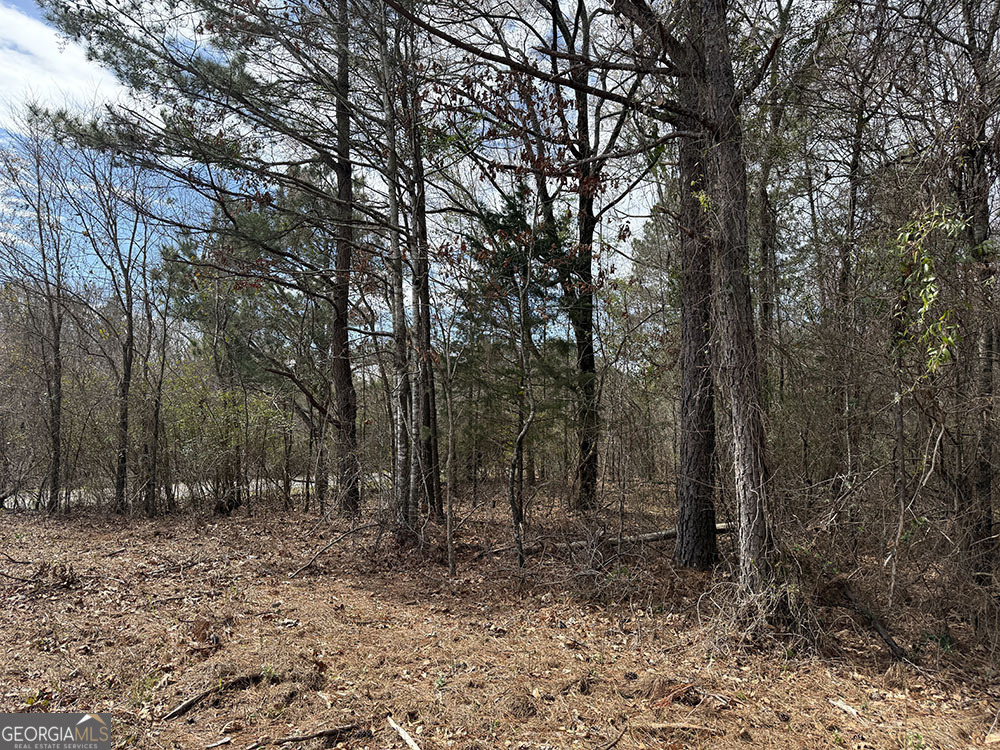0 Ga Hwy 129 Property Photo 14