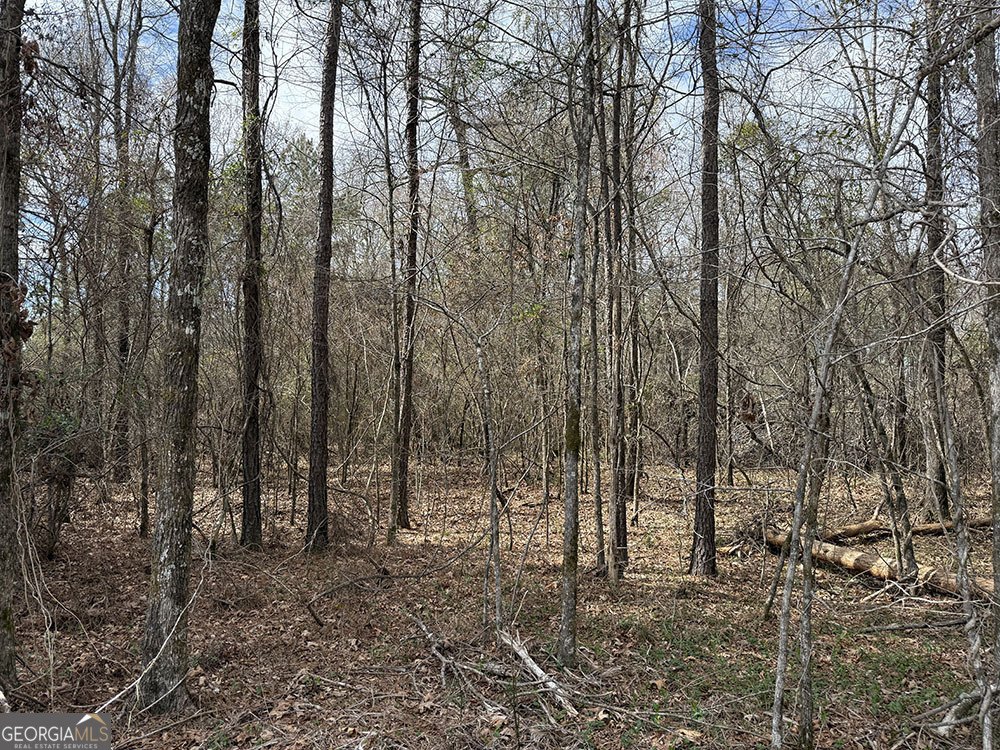 0 Ga Hwy 129 Property Photo 15