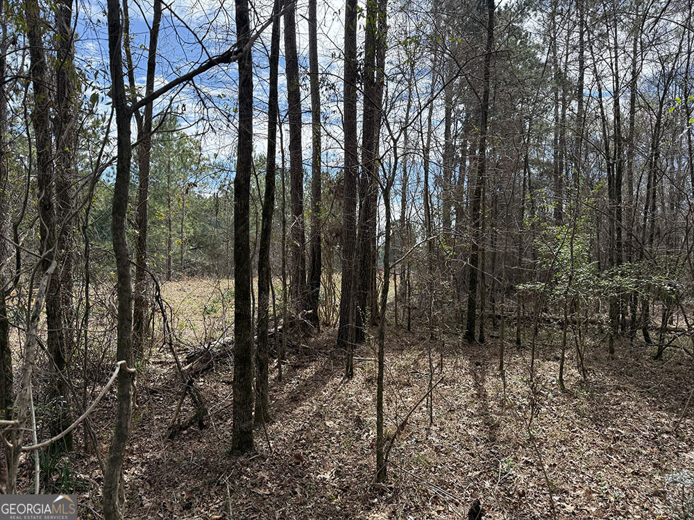 0 Ga Hwy 129 Property Photo 16