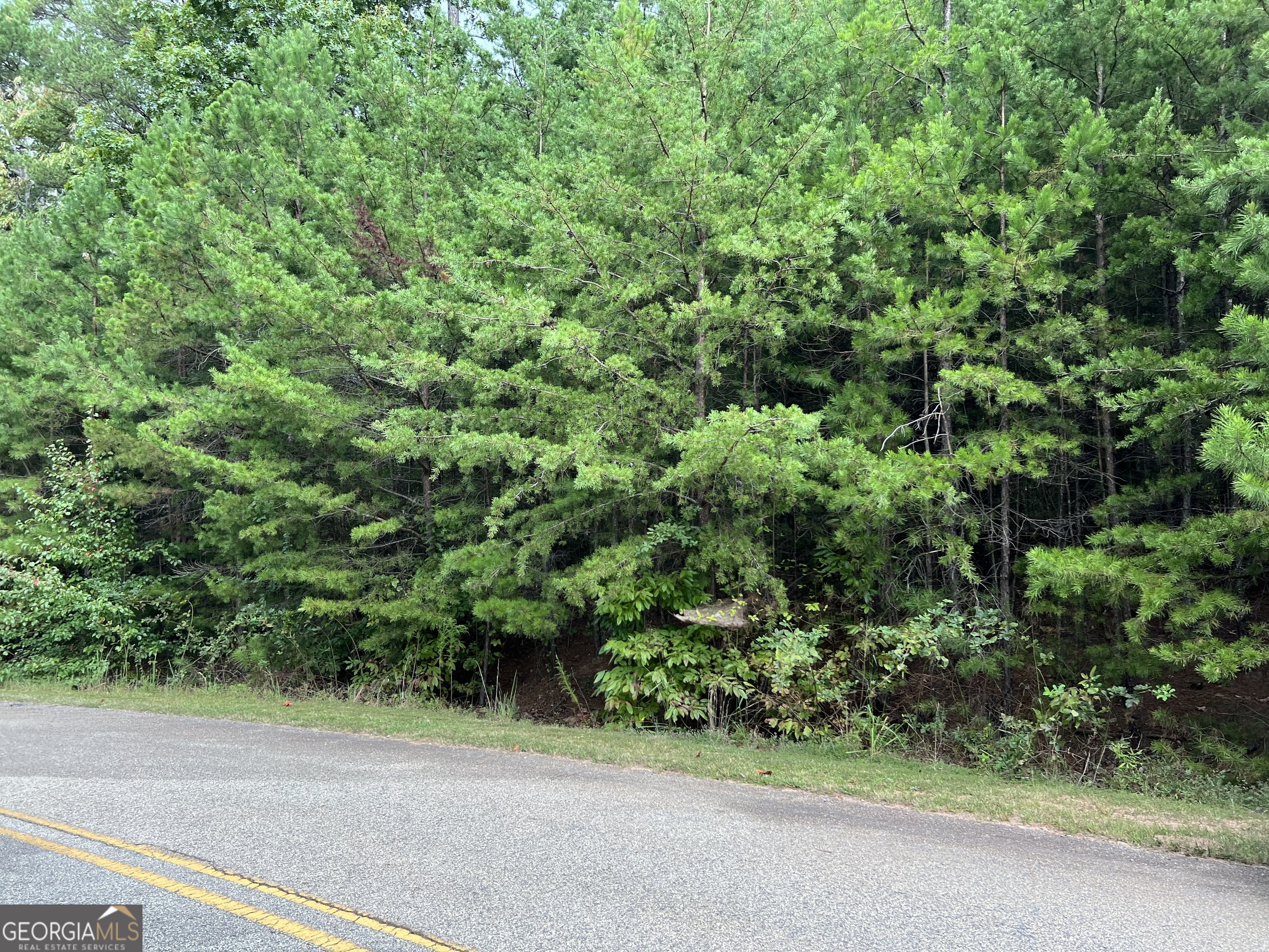 0 Pebble Creek Lane Property Photo