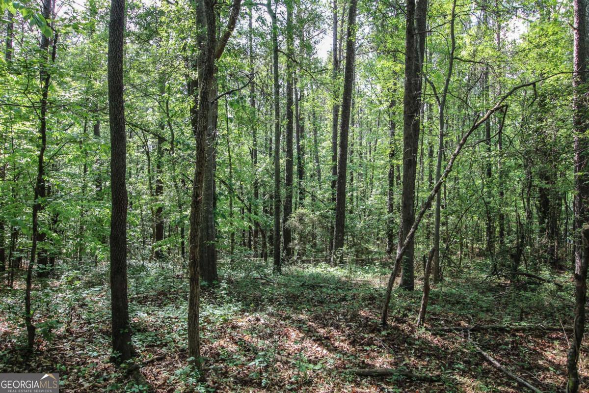 1040 Bridlegate Drive Property Photo 7