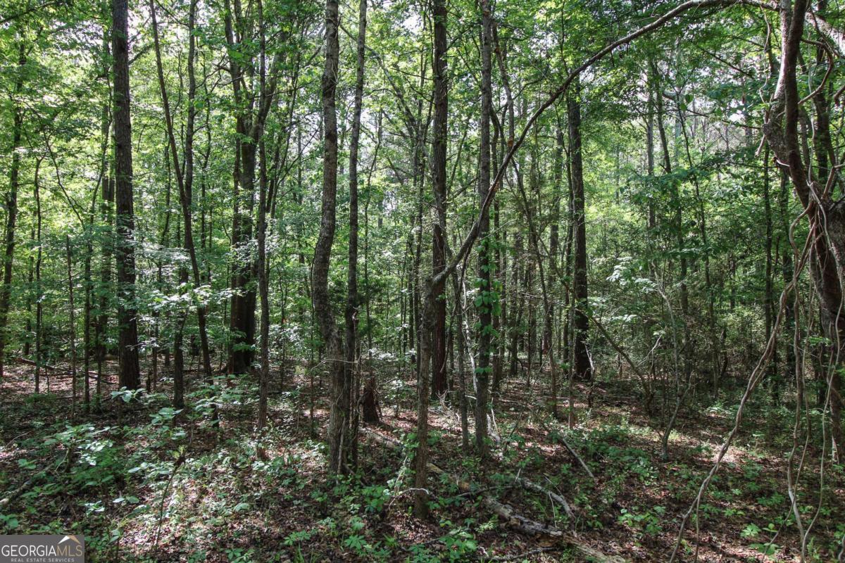 1040 Bridlegate Drive Property Photo 8