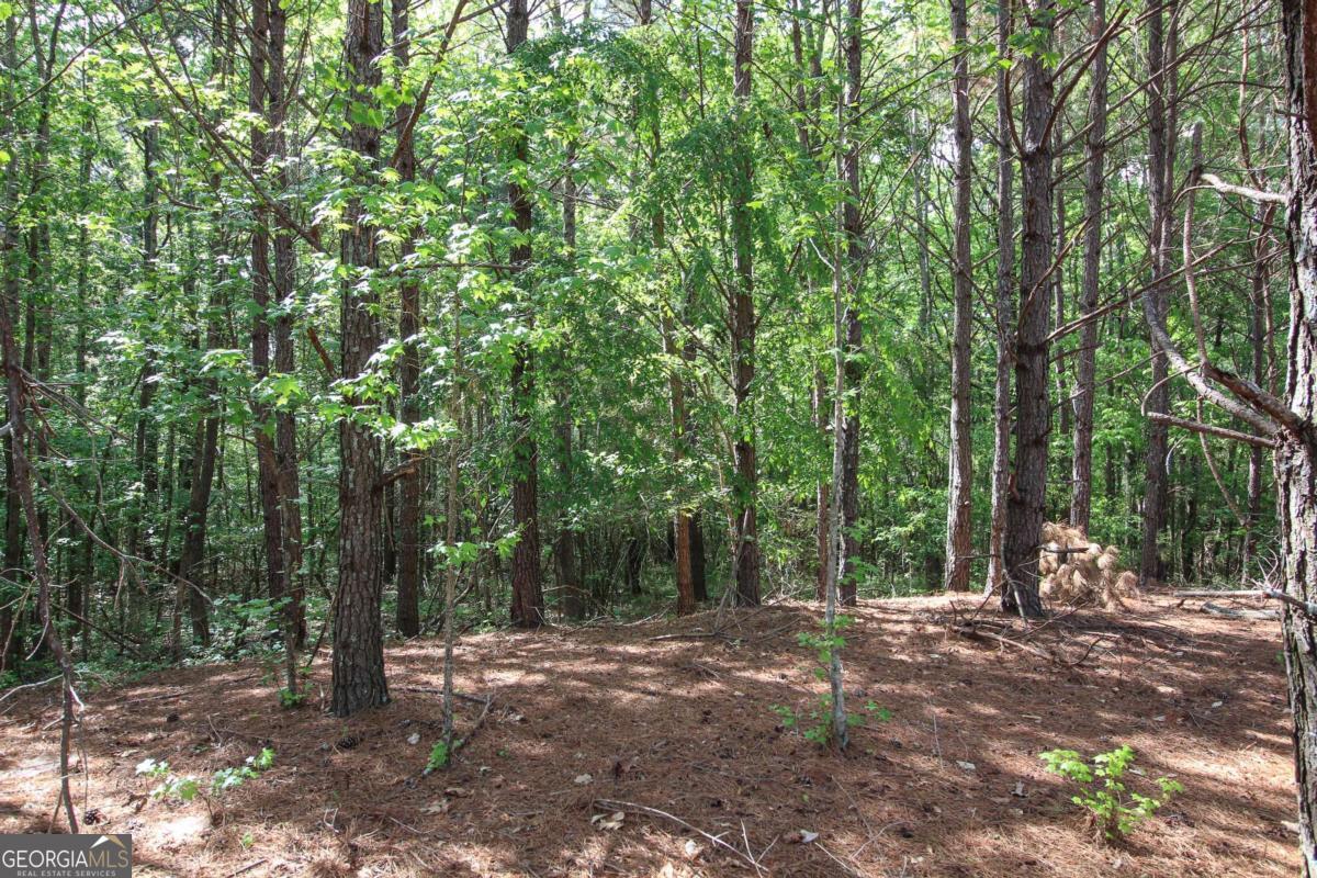 1040 Bridlegate Drive Property Photo 9