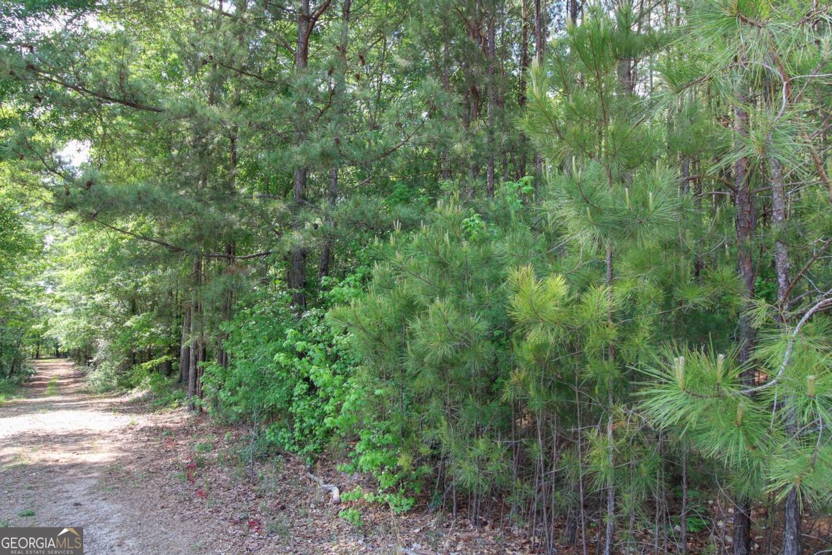 1040 Bridlegate Drive Property Photo 10