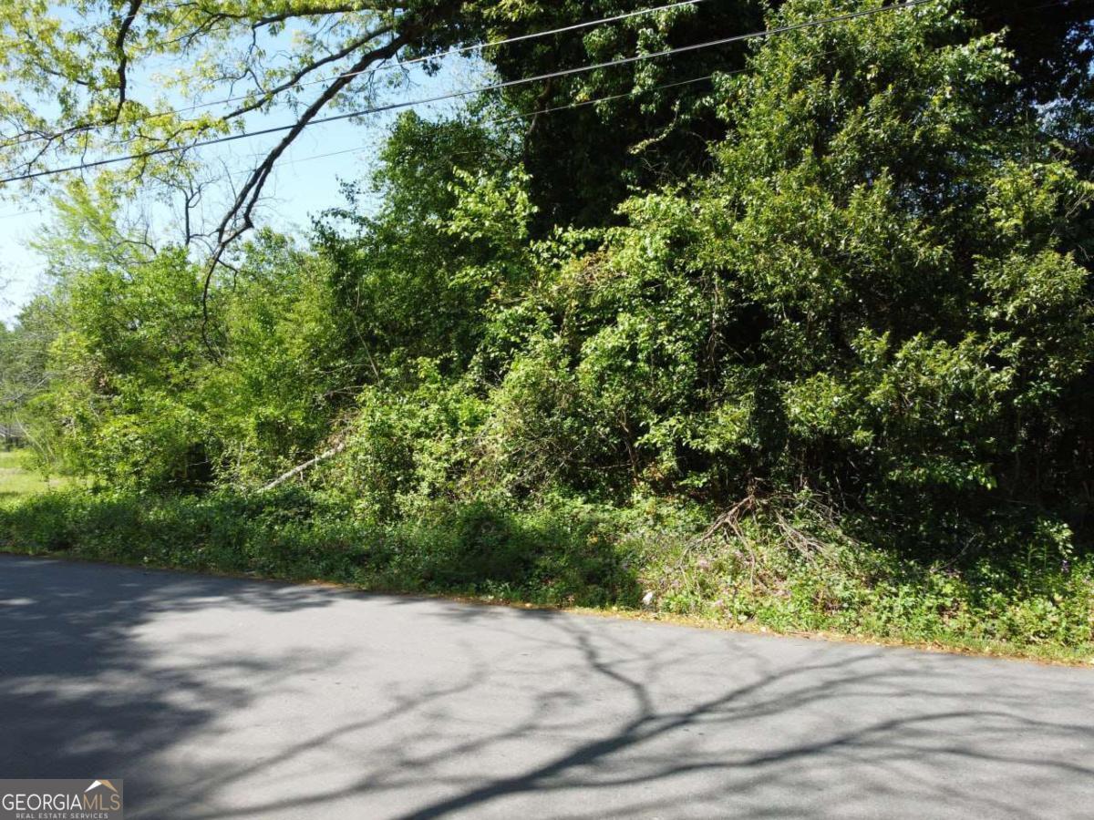 133 Fairview Road Property Photo 2