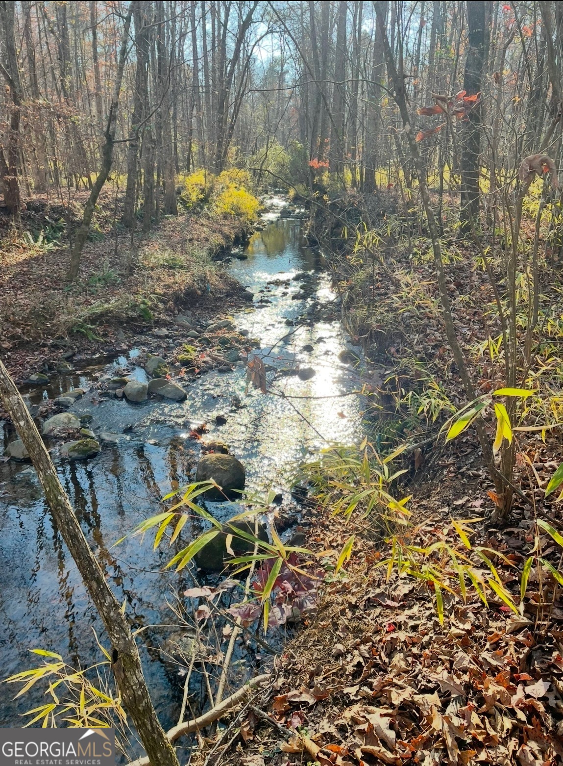 5743 Saddle Club Road Property Photo 4