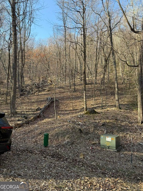 210 Windflower Drive Property Photo 1