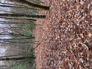 Clarkesville Real Estate Listings Main Image