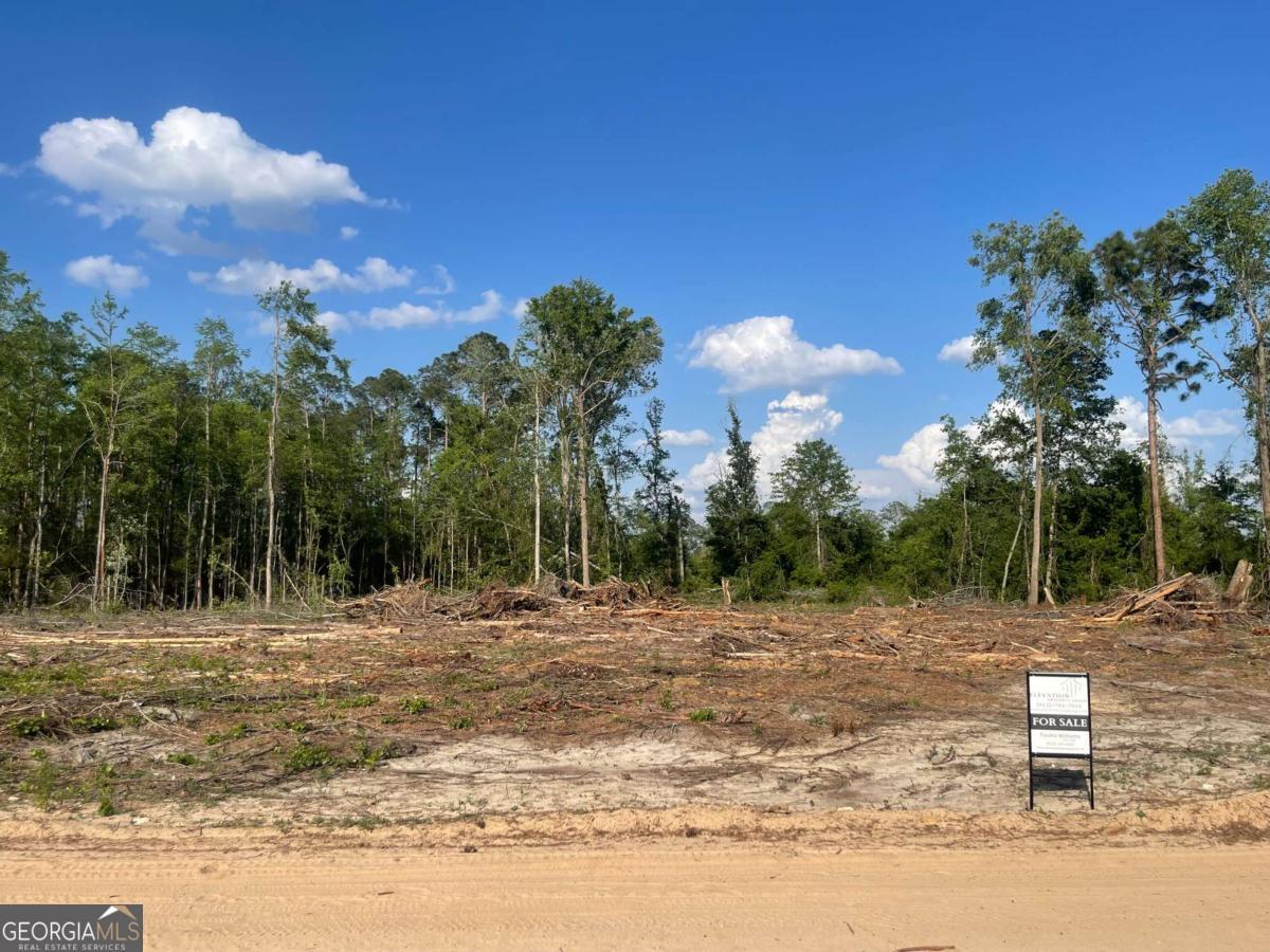 0 Sam Anderson Road Property Photo 1