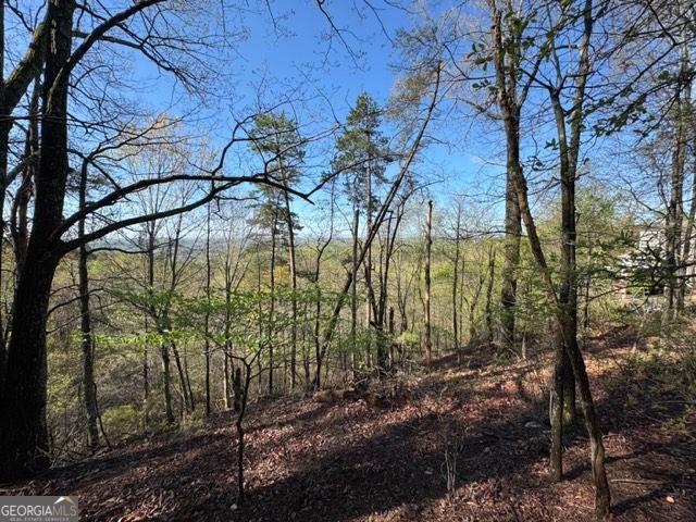 Dahlonega Real Estate Listings Main Image