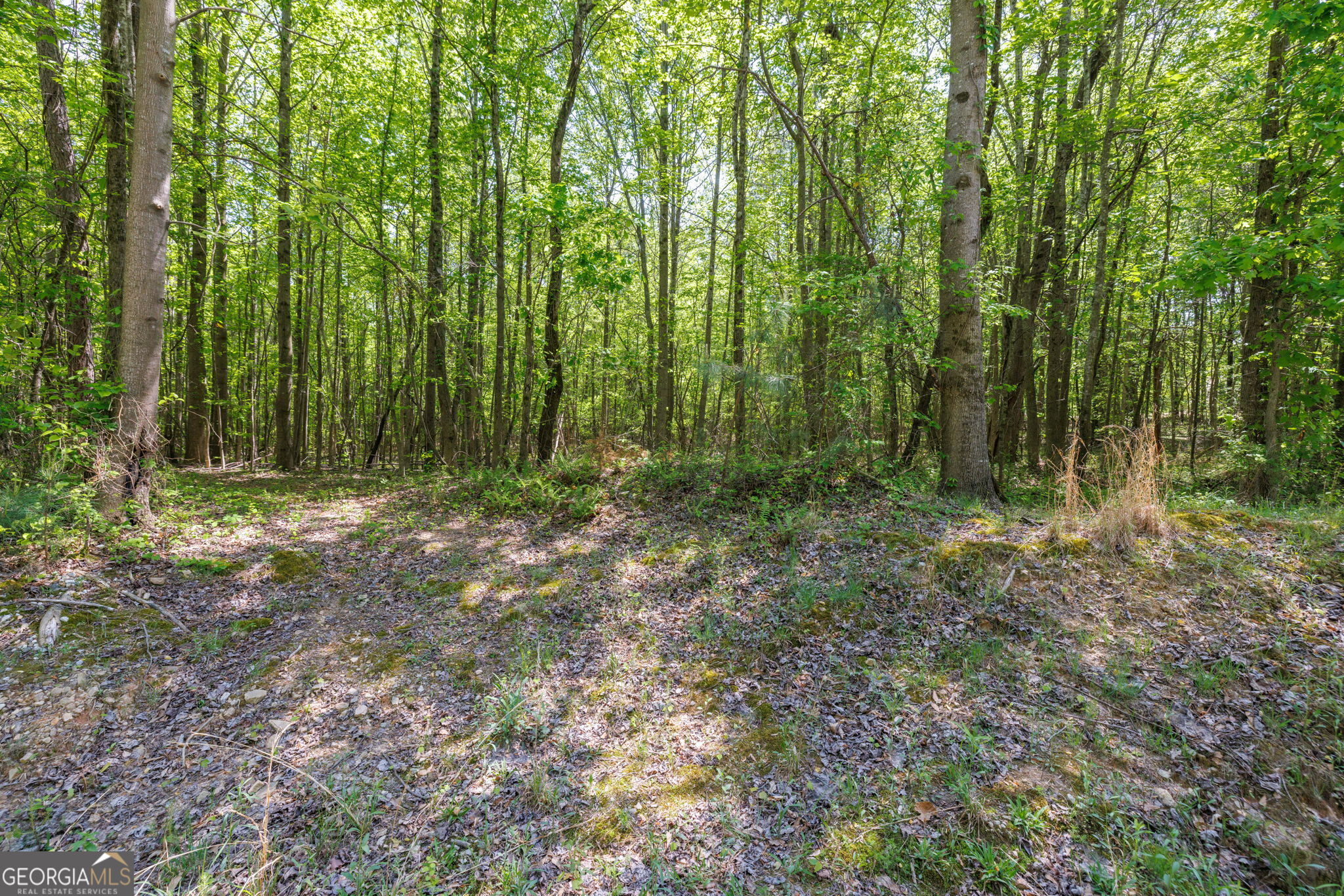 230 Dyer Road Tract 2 Property Photo 1