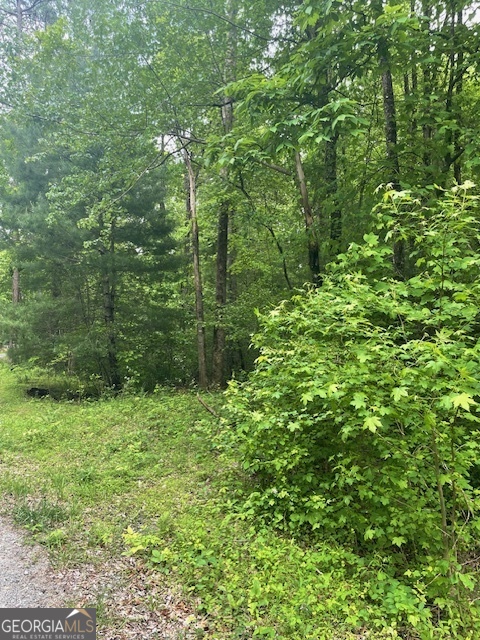 0 Mccormick Drive Property Photo 1