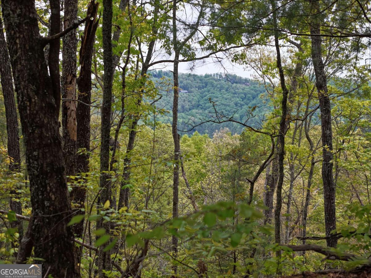 LOT 20 Crabapple Lane