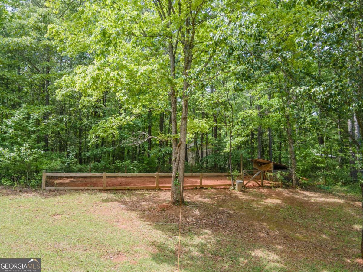 3414 Rock Mills Road Property Photo 46