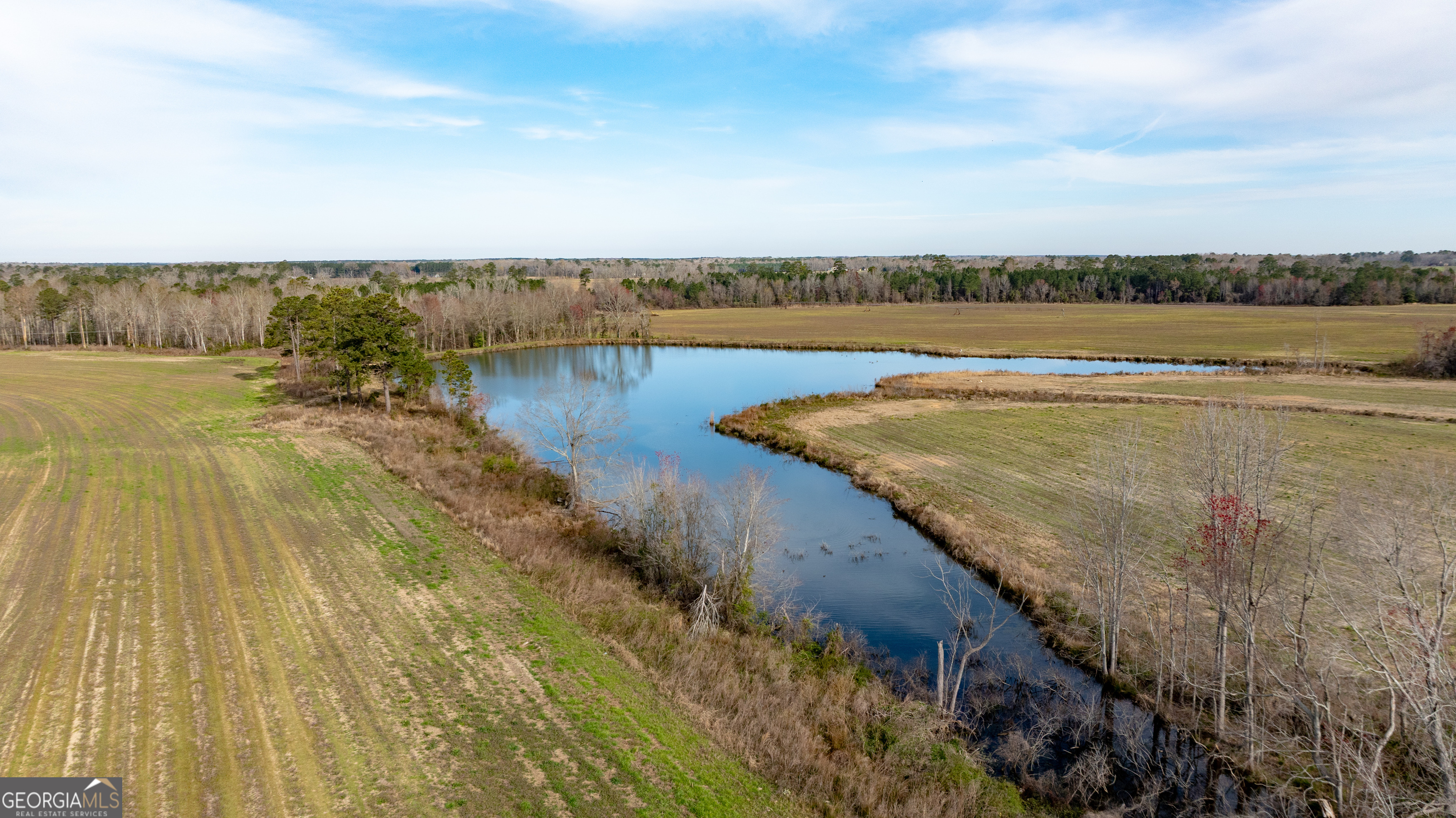Bleckley County Real Estate Listings Main Image