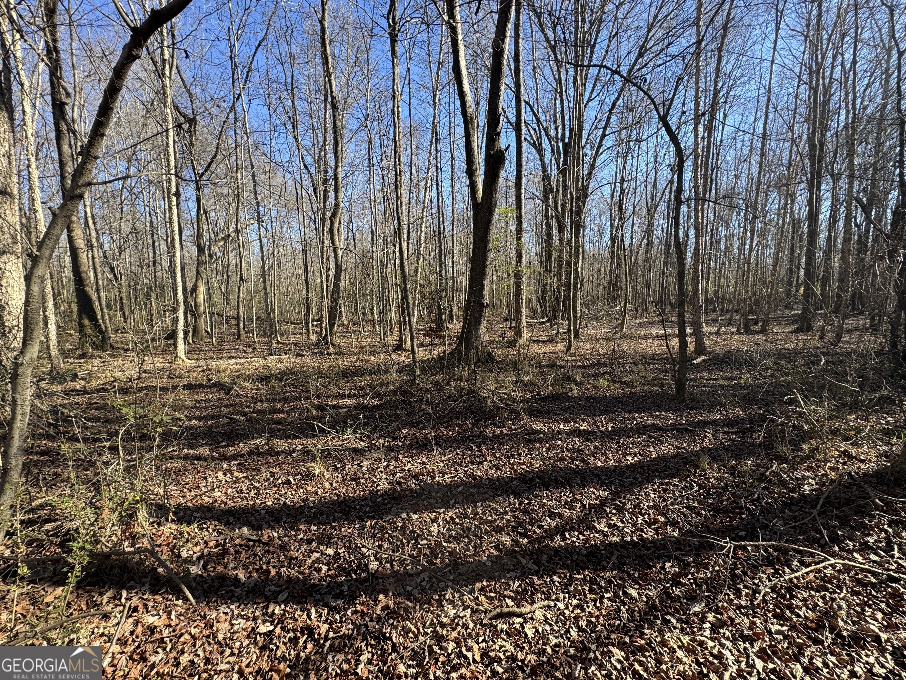 4100 Monroe Highway Property Photo 8