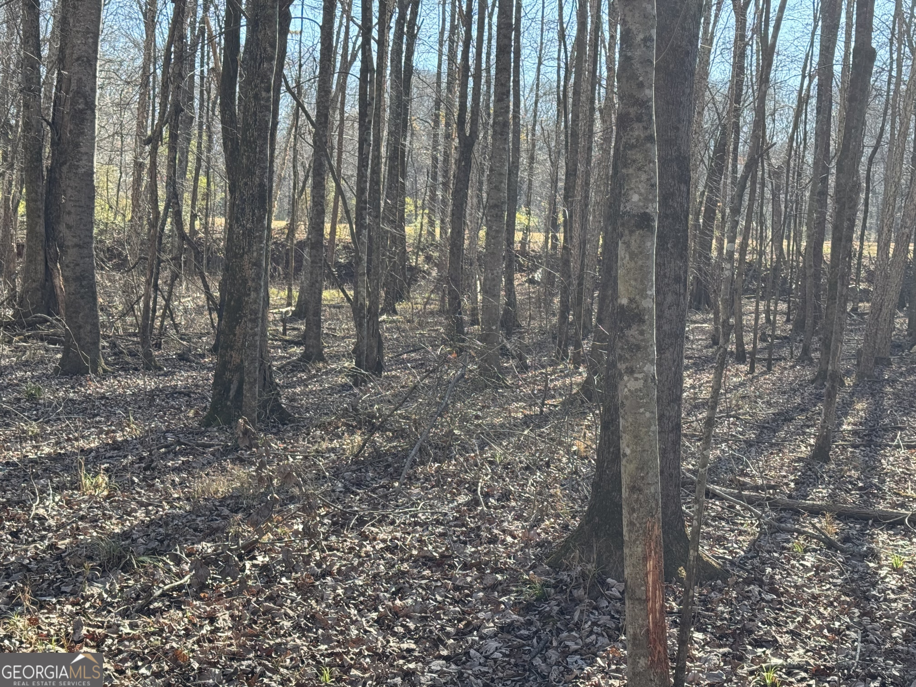 4100 Monroe Highway Property Photo 9