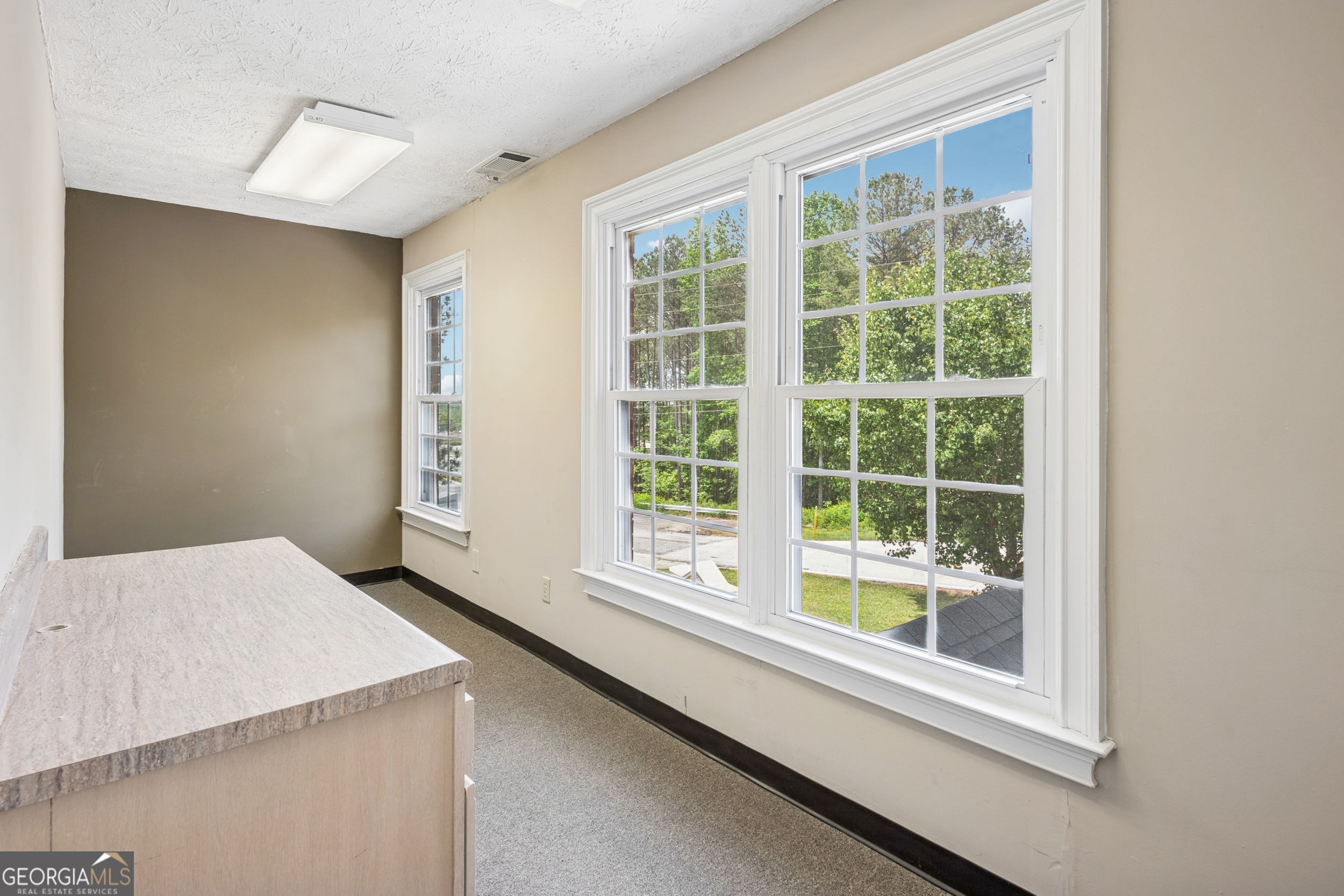 1707 N Blairs Bridge Road Property Photo 21