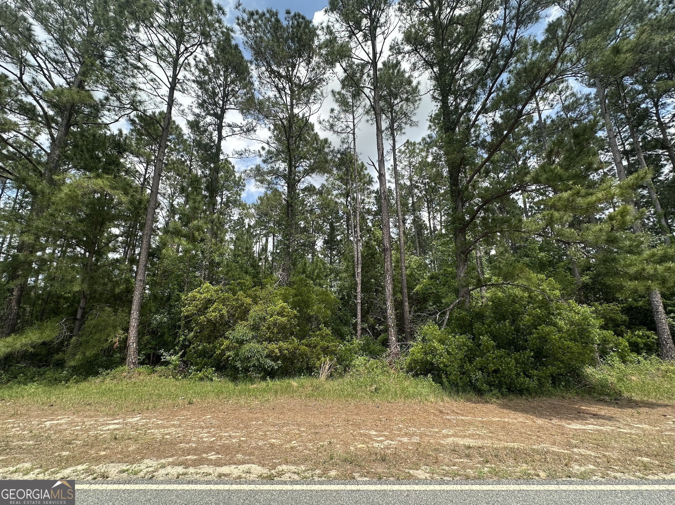 0 Sardis Church Road Property Photo 1
