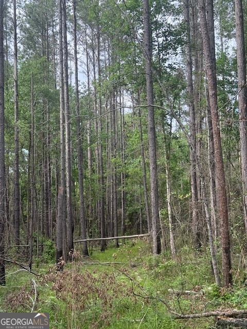 0 Lower Lumpkin Road Property Photo 1