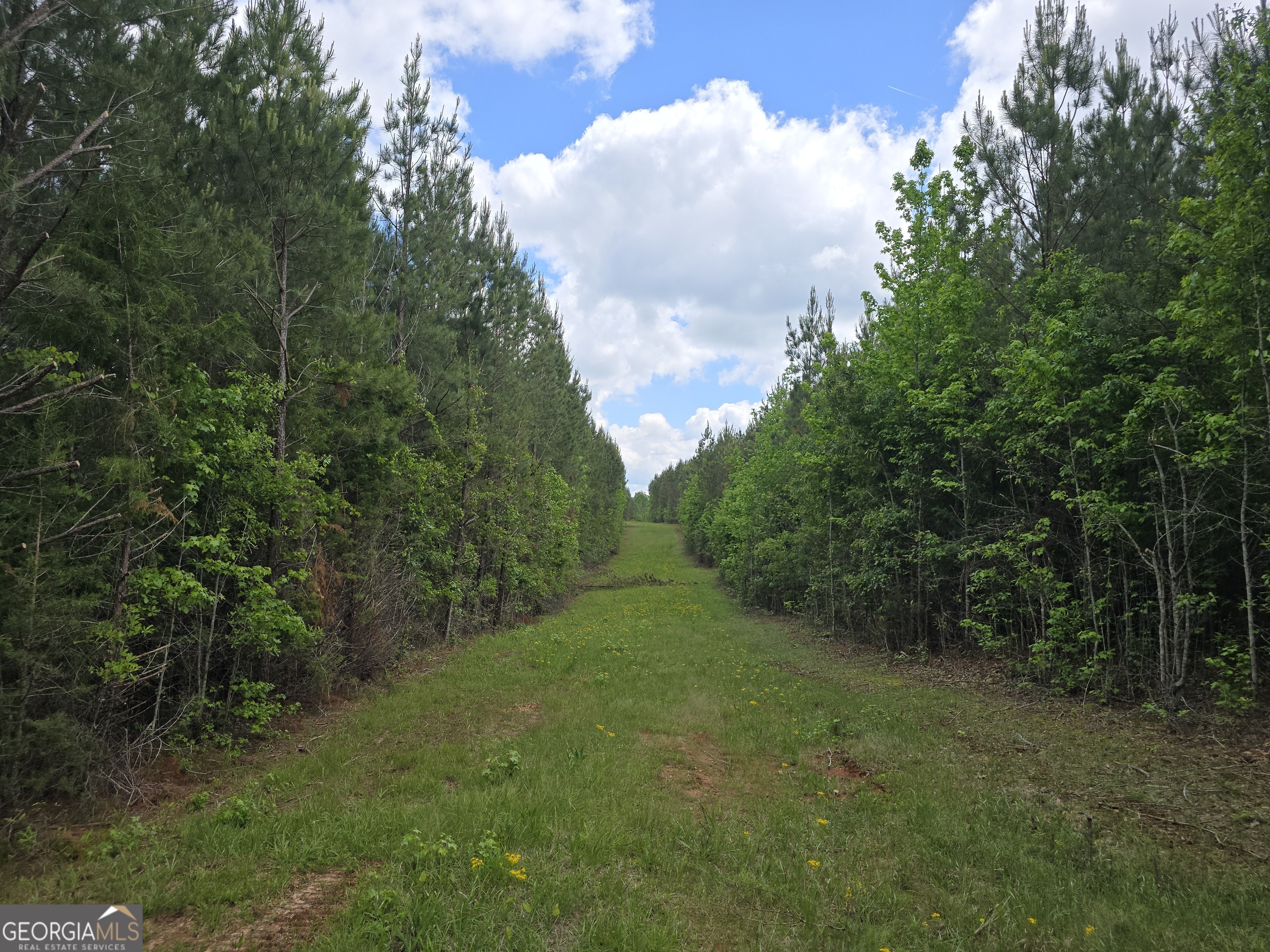 0 Davis Lake Road Property Photo 3
