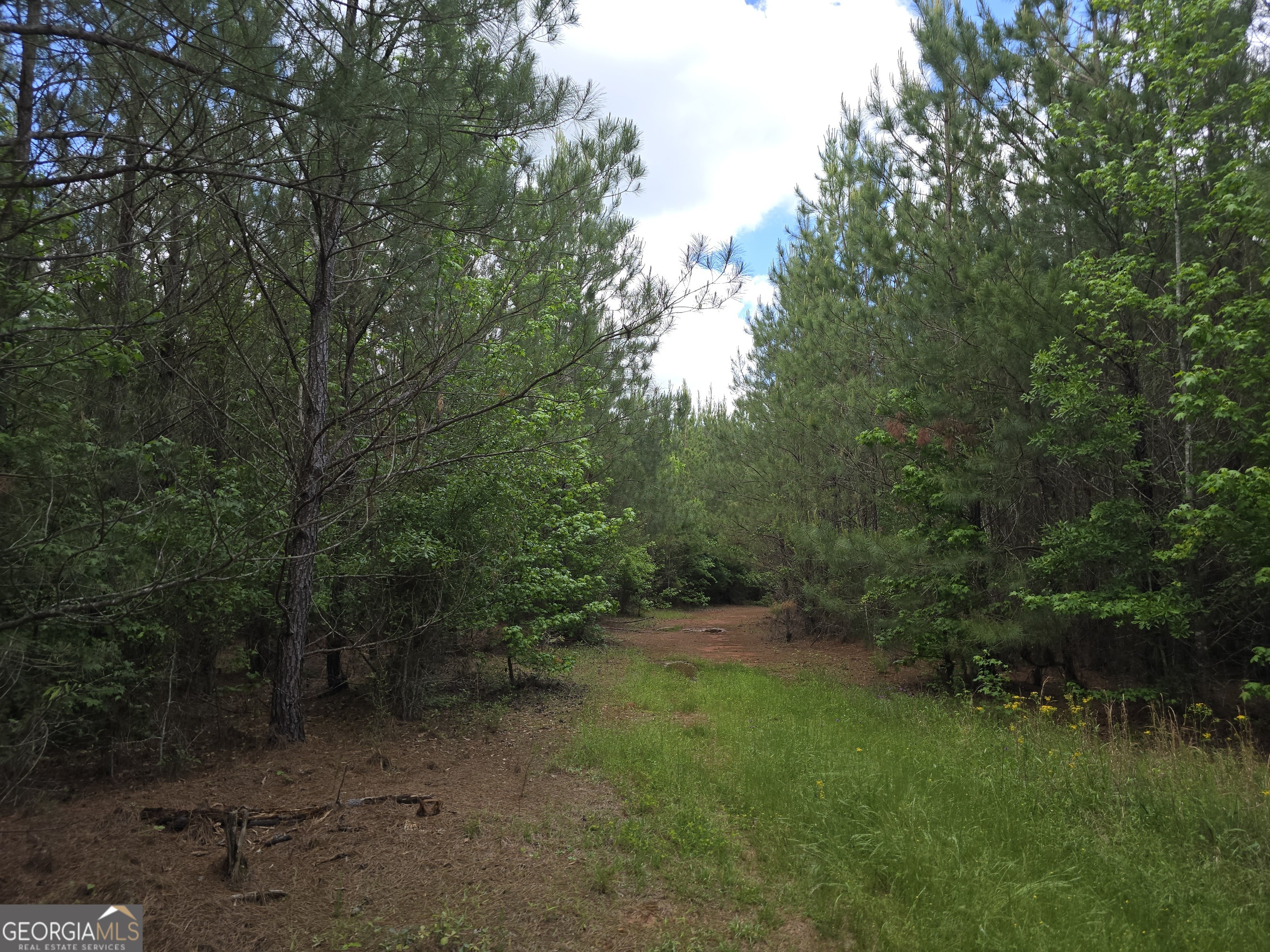 0 Davis Lake Road Property Photo 4